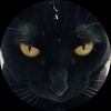 poshkitty17